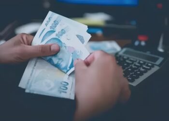 Destek ödemeleri 81 ilde başladı! Aralık’tan itibaren 11.702 TL hesaplara yatıyor