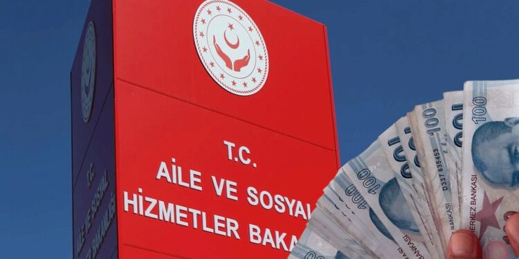 Aile ve Sosyal Hizmetler Bakanlığı Aralık Ayında 5.000 TL Yardım Ödemesi Yapacak
